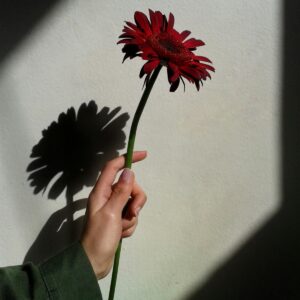 minimalist floral wall art print